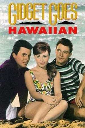 watch Gidget Goes Hawaiian