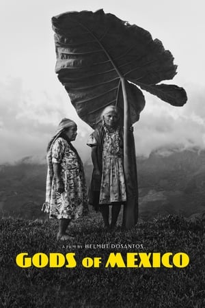 watch Gods of Mexico
