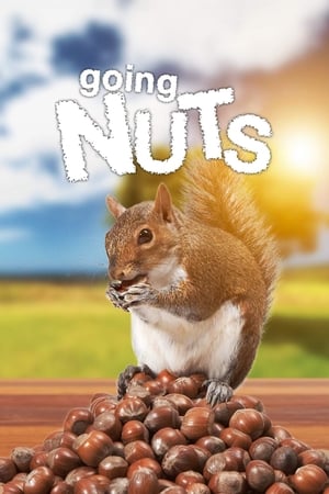watch Going Nuts: Tales from the Squirrel World
