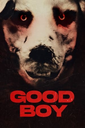 watch Good Boy