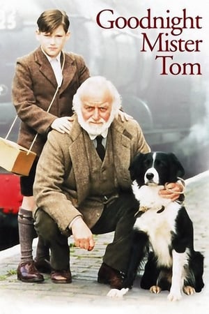 watch Goodnight, Mister Tom
