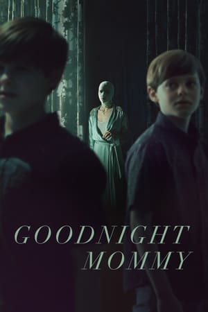 Goodnight Mommy watch Goodnight Mommy