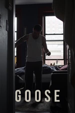 Goose watch Goose