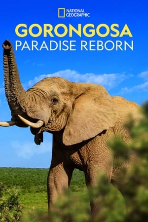 Gorongosa: Paradise Reborn watch Gorongosa: Paradise Reborn