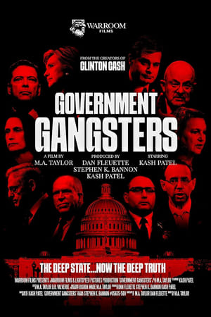 watch Government Gangsters