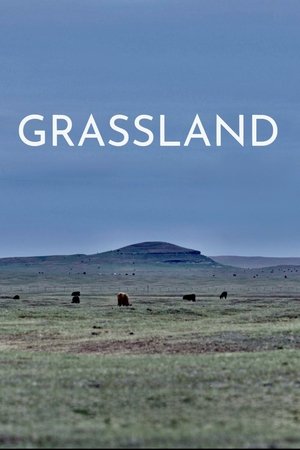 Grassland watch Grassland