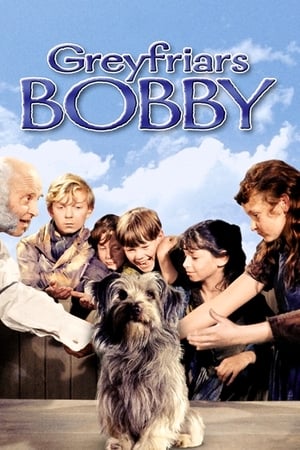 Greyfriars Bobby watch Greyfriars Bobby