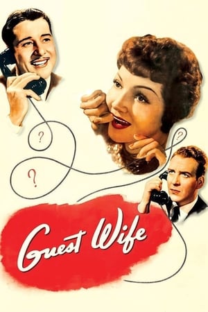 watch Guest Wife