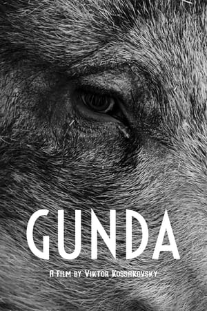 Gunda watch Gunda