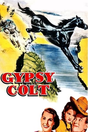Gypsy Colt watch Gypsy Colt
