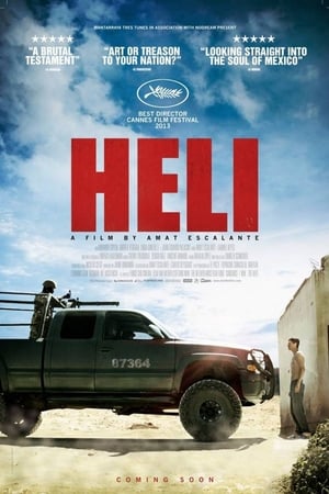 Heli watch Heli
