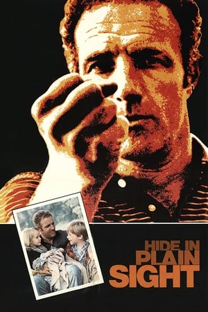 watch Hide in Plain Sight