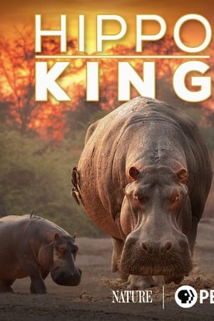watch Hippo King