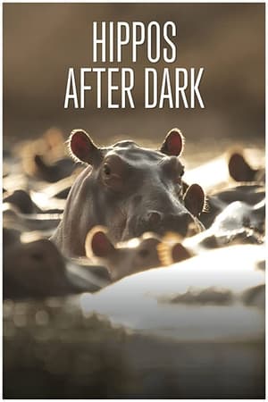 watch Hippos after Dark