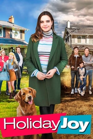 watch Holiday Joy