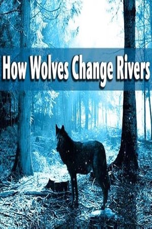 How Wolves Change Rivers watch How Wolves Change Rivers