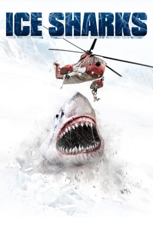 Ice Sharks watch Ice Sharks