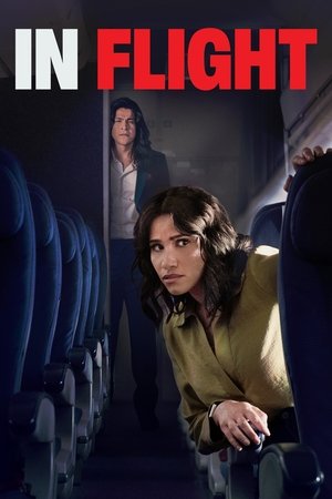 In Flight watch In Flight