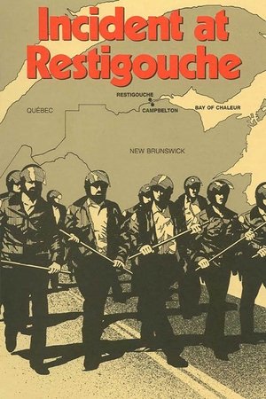 watch Incident at Restigouche