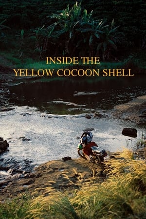 Inside the Yellow Cocoon Shell watch Inside the Yellow Cocoon Shell