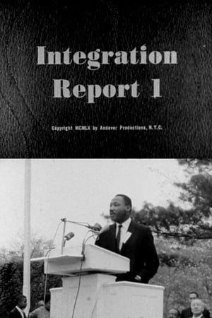 Integration Report 1 watch Integration Report 1