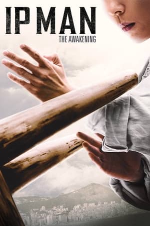 Ip Man: The Awakening watch Ip Man: The Awakening
