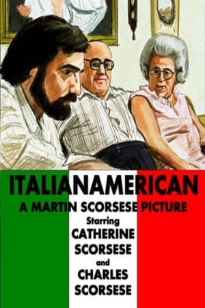 Italianamerican watch Italianamerican