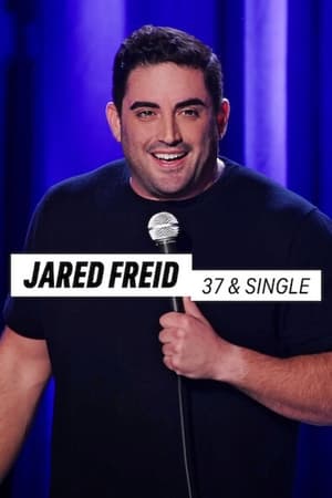 Jared Freid: 37 & Single watch Jared Freid: 37 & Single
