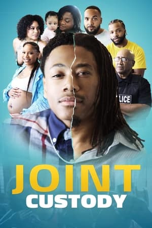 watch Joint Custody