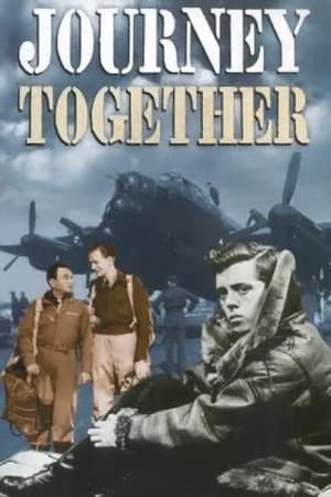 watch Journey Together