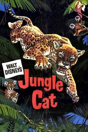 Jungle Cat watch Jungle Cat