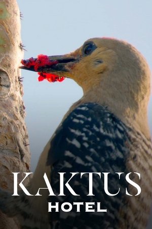 watch Kaktus Hotel