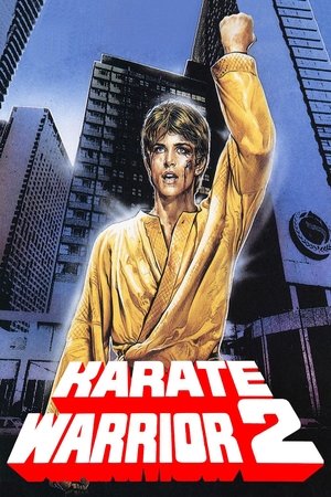 Karate Warrior 2 watch Karate Warrior 2