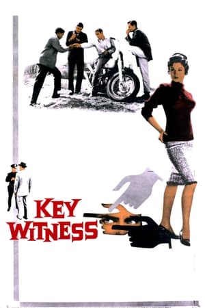 Key Witness watch Key Witness
