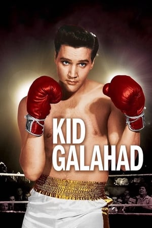 Kid Galahad watch Kid Galahad