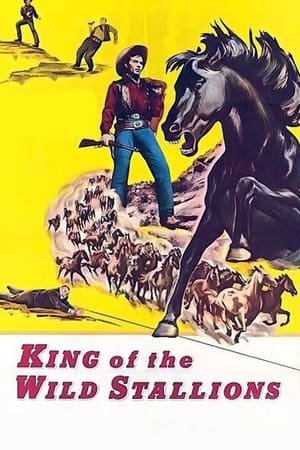 watch King of the Wild Stallions