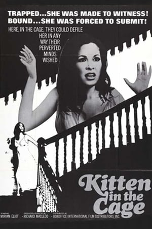 Kitten in a Cage watch Kitten in a Cage