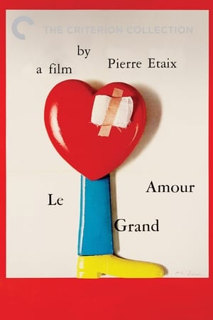 watch Le Grand Amour