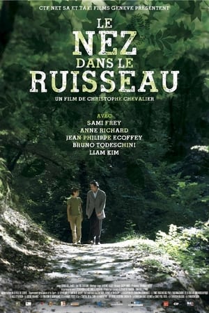 watch Le nez dans le ruisseau