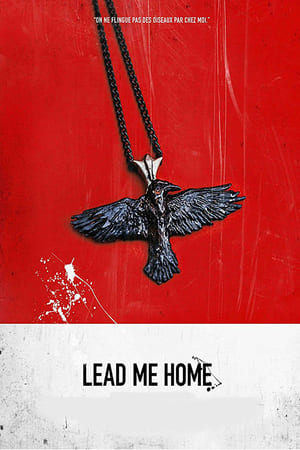watch Lead Me Home