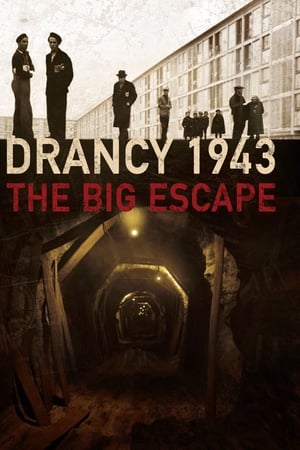 Les évadés de Drancy watch Les évadés de Drancy