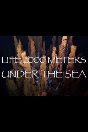 watch Life 2,000 Meters Under the Sea