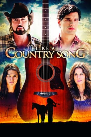 watch Like a Country Song