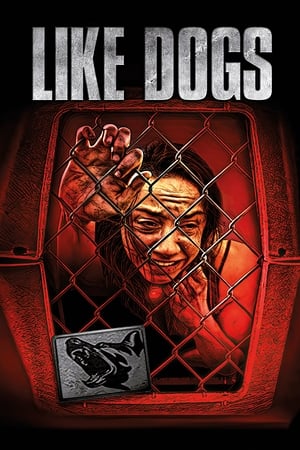 Like Dogs watch Like Dogs