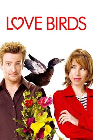 Love Birds watch Love Birds