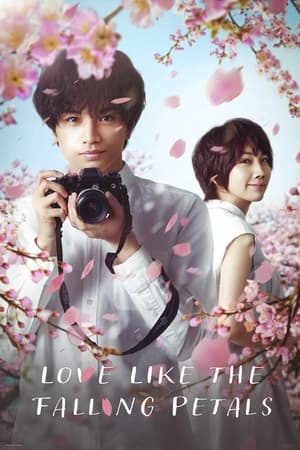 Love Like the Falling Petals watch Love Like the Falling Petals
