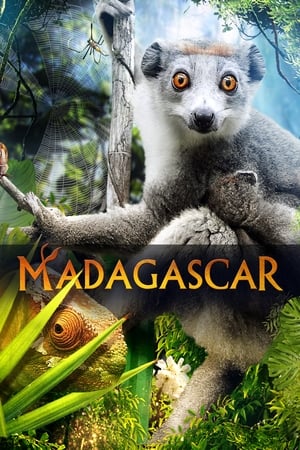 Madagascar 3D watch Madagascar 3D