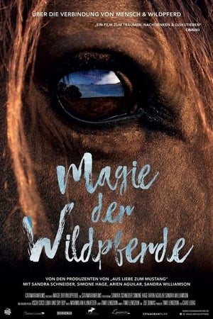 Magic of the Wild Horses watch Magic of the Wild Horses