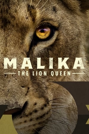 Malika the Lion Queen watch Malika the Lion Queen