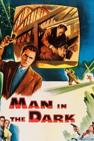 Man in the Dark watch Man in the Dark